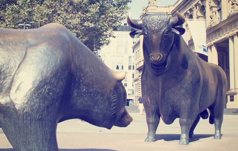 Was bedeuten der Stier und der Bär an der Börse?